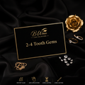 B Winx 2-4 Tooth Gems
